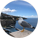Ugo P. profile picture